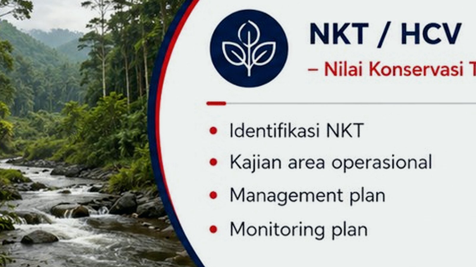 Ilustrasi fotografi profesional untuk artikel Mengenal NKT / HCV: Kenapa Penting untuk Perusahaan Perkebunan?