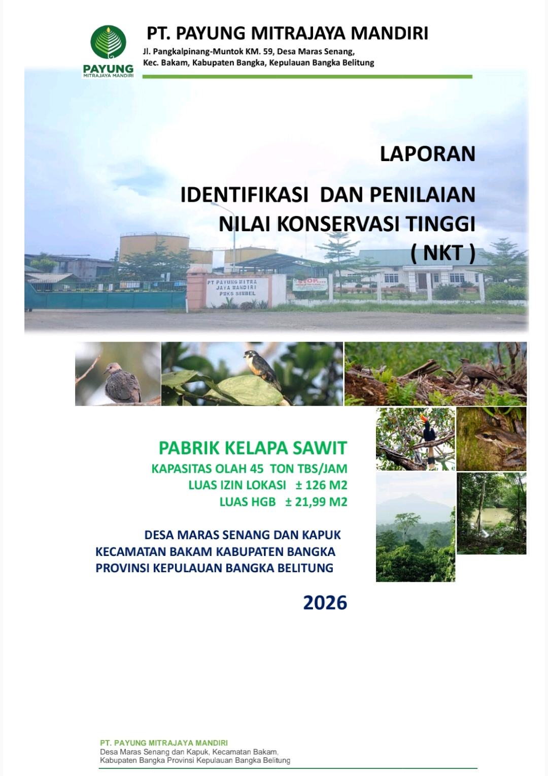 Contoh laporan NKT PT Payung Mitrajaya Mandiri